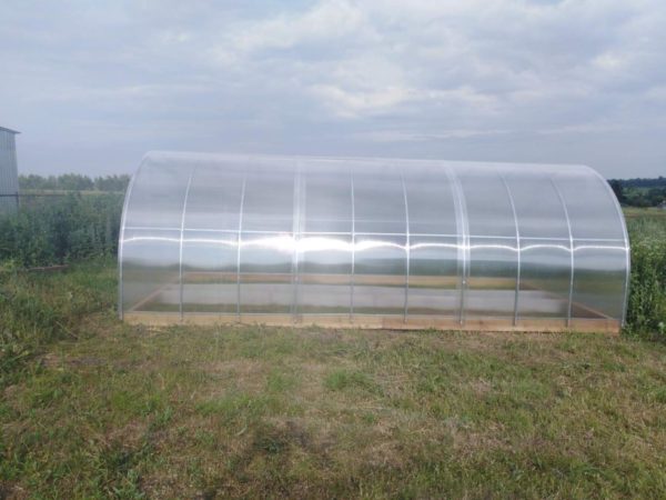 greenhouse-tundra