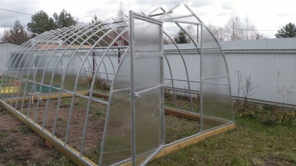greenhouse-gorka-img