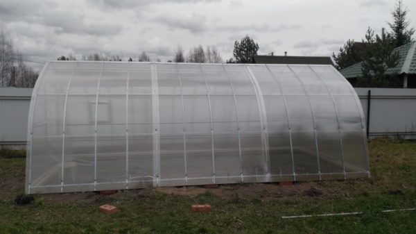 greenhouse-gorka-img