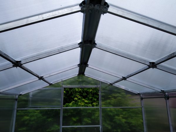 greenhouse-house-img